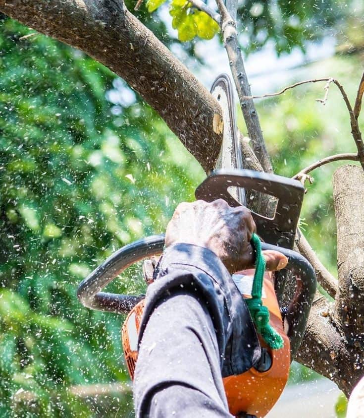 Garcia Tree Services team on the job